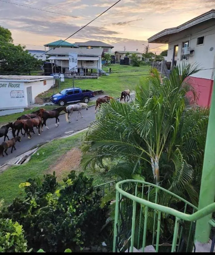 The Seaside Garden Guesthouse Buccoo Trinidad und Tobago